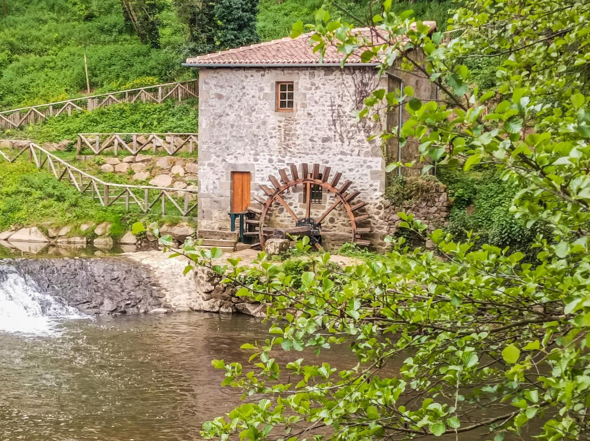 Manoir Des Arts Bed and Breakfast Confolens Εξωτερικό φωτογραφία